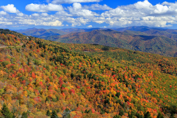istock Blue Ridge Parkway, North Carolina 821493274