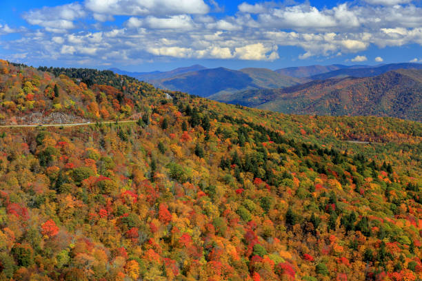istock Blue Ridge Parkway, North Carolina 821493328