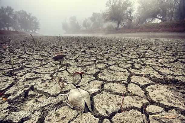 Dried watercourse Dried watercourse. Dried mud in the riverbed. dry riverbed stock pictures, royalty-free photos & images