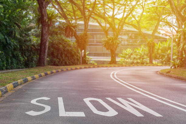 istock curving road with trees in a public park 821505260