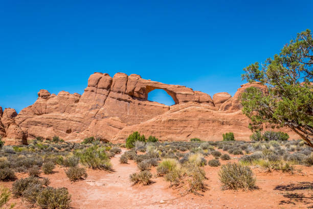 istock Natural stone arches in the Moab Desert 821506442