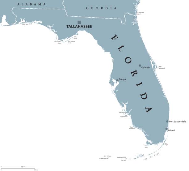 политическая карта флориды сша - florida cartography map florida keys stock illustrations