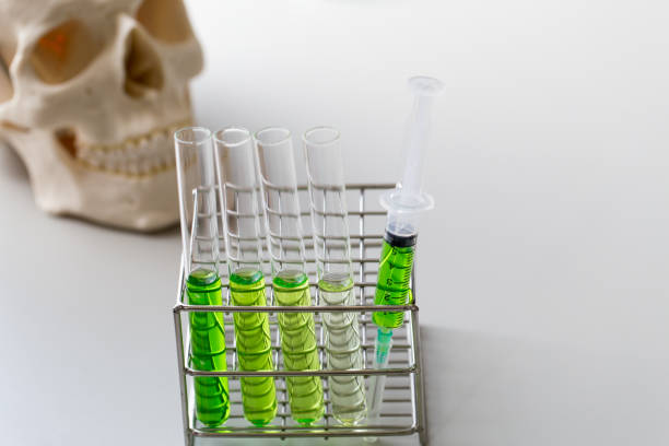 istock Skull model and glassware for education in laboratory. 821517750