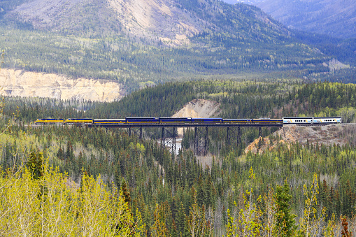 Banff, Canada -November 2019: Canadian Pacific train (CP Rail) passing through the famous Morant's Curve, located in Banff National Park, Alberta. The scene in featured on the $10 bill.