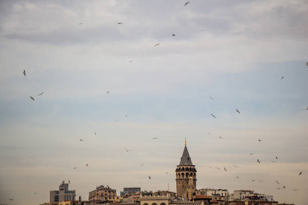 istock Galata Tower from Byzantium times in Istanbul 821521852