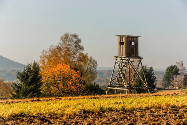 domek myśliwski, wieża myśliwska między łąką a lasem - hunting blind zdjęcia i obrazy z banku zdjęć