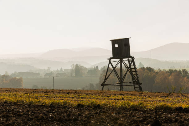 istock hunter cottage, Hunting tower between meadow and forest 821524112