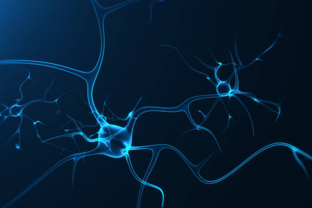 konceptualna ilustracja komórek neuronów z świecącymi węzłami linkowymi. synapsy i neuronów komórek wysyłania elektrycznych sygnałów chemicznych. neuron połączonych neuronów z impulsami elektrycznymi, renderowanie 3d - neurotransmission zdjęcia i obrazy z banku zdjęć