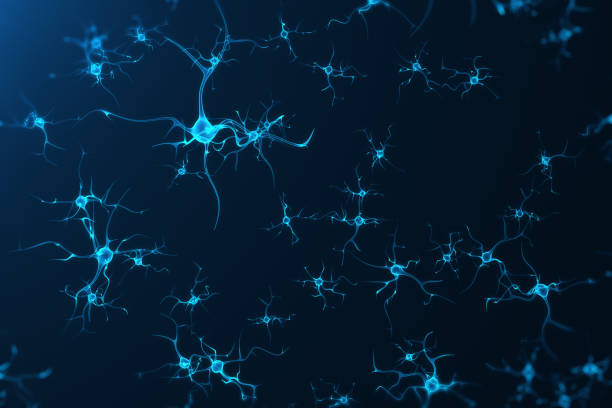 illustrazione concettuale delle cellule neuronali con nodi di legame incandescente. cellule sinapsi e neuronali che inviano segnali chimici elettrici. neurone di neuroni interconnessi con impulsi elettrici, rendering 3d - neurotransmission foto e immagini stock