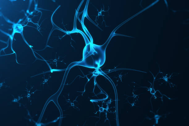 istock Conceptual illustration of neuron cells with glowing link knots. Synapse and Neuron cells sending electrical chemical signals. Neuron of Interconnected neurons with electrical pulses, 3D rendering 821524924