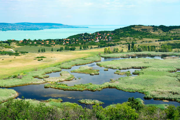 istock View to Lake Balaton from Tihany peninsula, Hungary 821524932