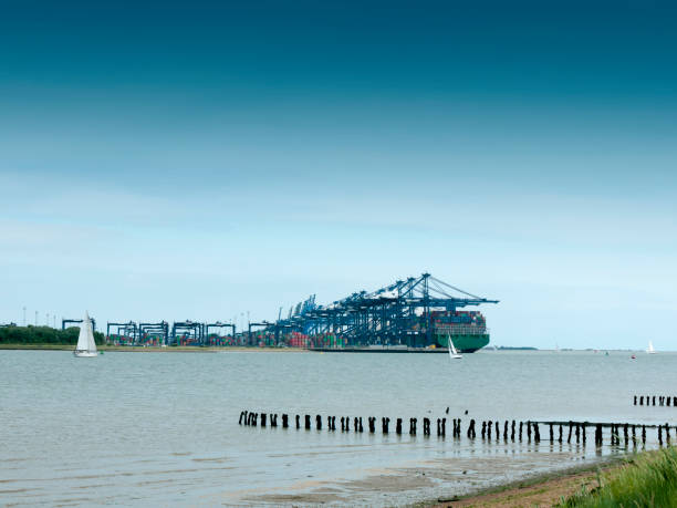istock cargo shipping industry landscape river coast 821528246