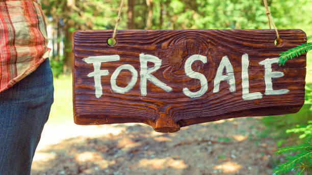 istock Sale sign board in woodland 821532004