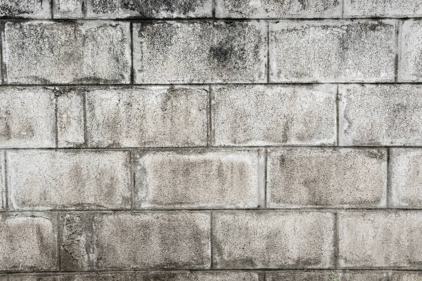 istock Texture dirty gray cemet brock wall background 821532220