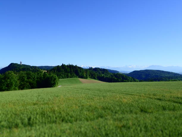 istock Felsenegg and Lake Zurich 821536258