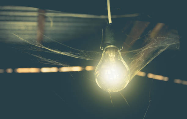 istock Hanging light bulbs with glowing one and web spider. Idea and creativity concept with light bulbs. 821540424