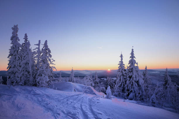 istock Winter landscape with blue sky. Snail icing on trees. Beautiful winter landscape. 821543930