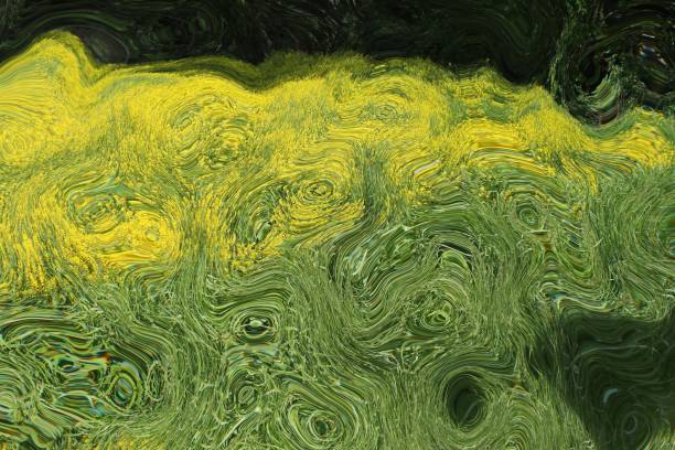 istock Dented Field of Summer 821544466