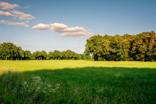 istock SUNSET AT DUTCH FARM LANDSCAPE NEAR DELDEN (TWENTE, OVERIJSSEL) 821544758