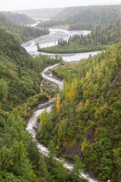 Mountain Stream Mountain Stream near Talkeenta, Alaska. talkeetna mountains stock pictures, royalty-free photos & images