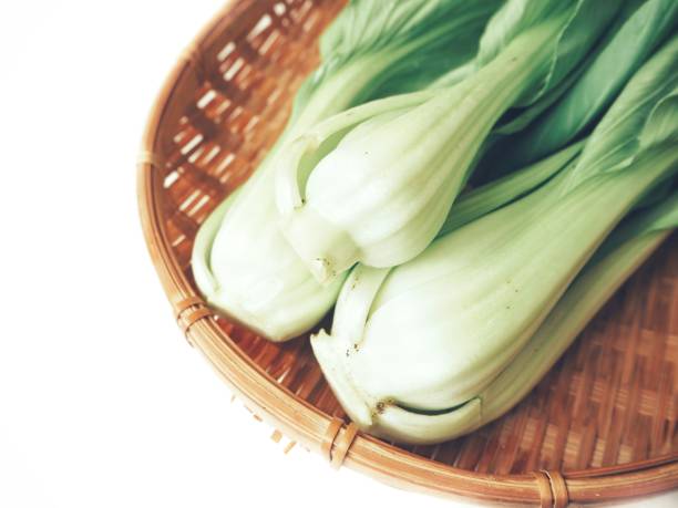Bok choy chinese cabbage isolated