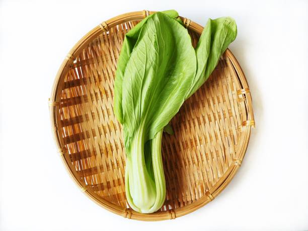 Bok choy chinese cabbage isolated