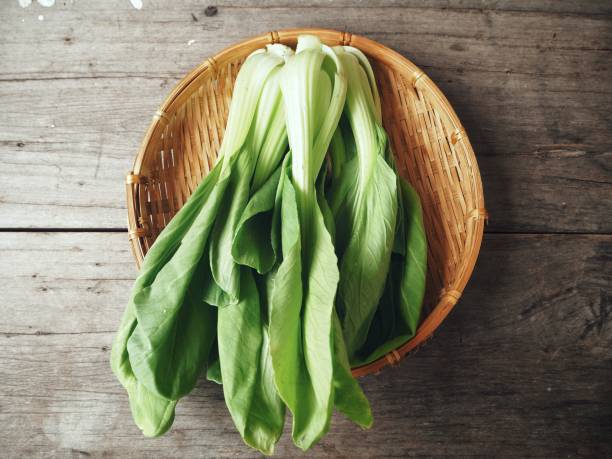 Bok choy chinese cabbage