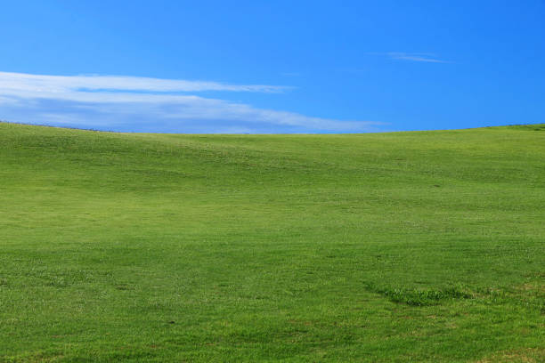 istock Landscape - green grass and blue sky with small clouds 821559014