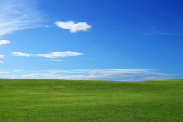 istock Landscape - green grass and blue sky with small clouds 821559028