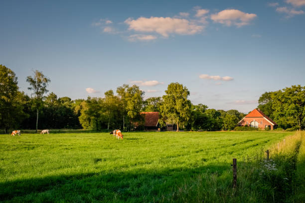 istock SUNSET AT DUTCH FARM LANDSCAPE NEAR DELDEN (TWENTE, OVERIJSSEL) 821559204