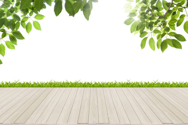 istock Fresh spring green leaves with  wood floor isolated 821562514