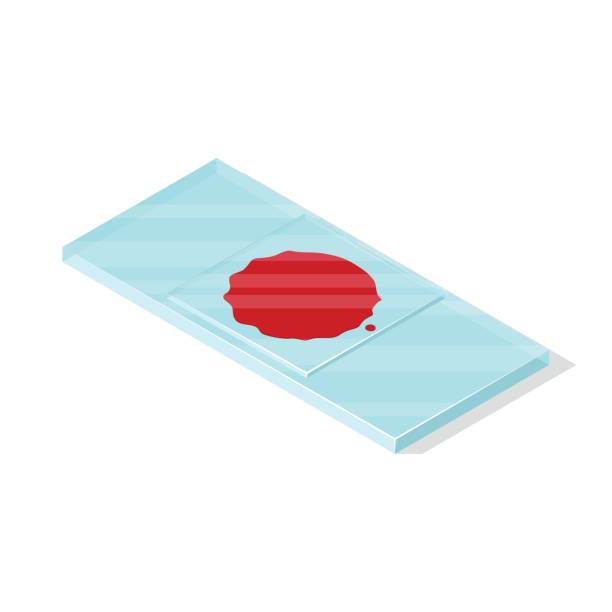 Blood on slide. Isolated on white background. Isometric vector illustration blood on microscope slide stock illustrations