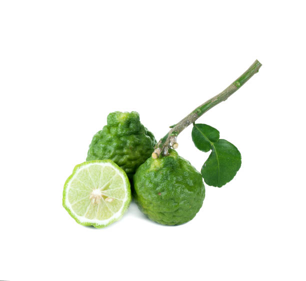 istock Kaffir Lime fruits isolated on white 821563112