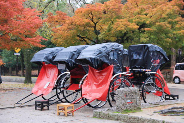 istock Rickshaws in the park of Nara 821568376