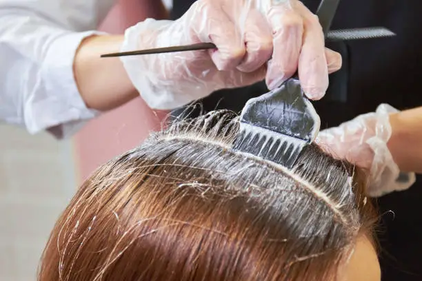 Hair dying close up. Brush applying hair color.