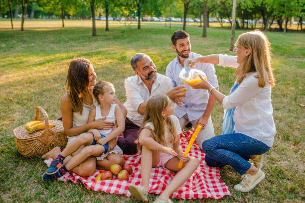 istock Best Multi Generation Family  picnic together 821578922