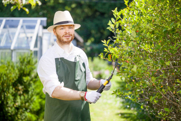 istock young gardener with a professional tools and equipment 821579668