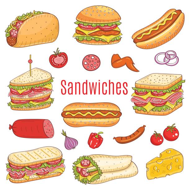zestaw warstwowy, ilustracja szkicu wektorowego - panini sandwich stock illustrations