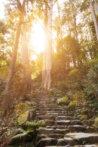 istock Sunlight falls on a stone staircase in the woods 821583668