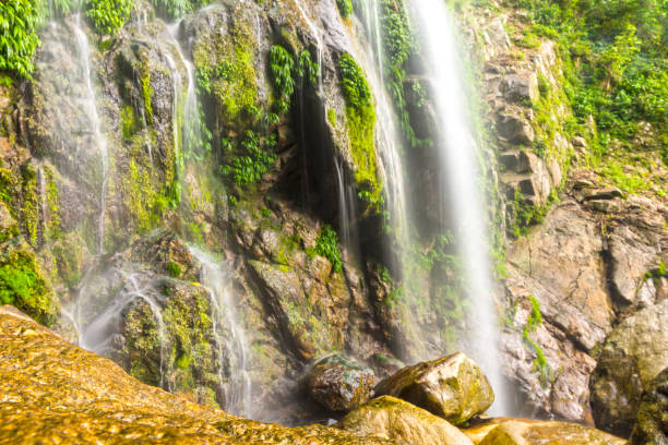 istock The Impossible Forest National Park, El Salvador 821583894