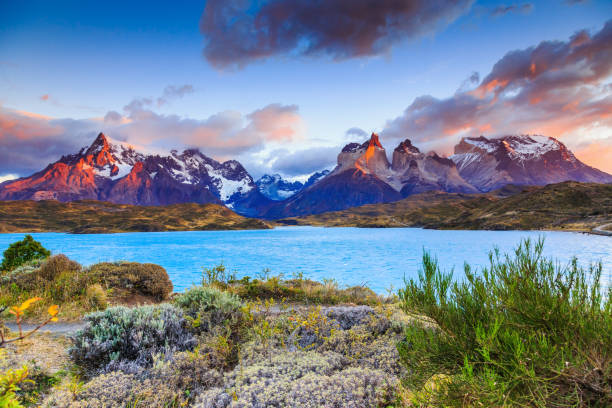 istock Torres Del Paine National Park, Chile. 821593988