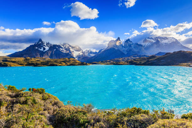 istock Torres Del Paine, Chile. 821593990