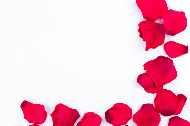 istock Frame of artificial rose petals 821594068