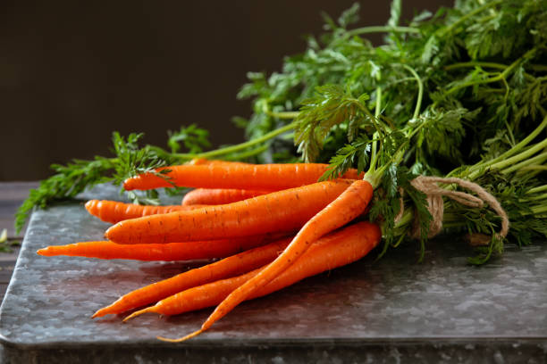 Heap of ripe carrots. Heap of ripe carrots with leaves on dark rustic table. raw carrots stock pictures, royalty-free photos & images