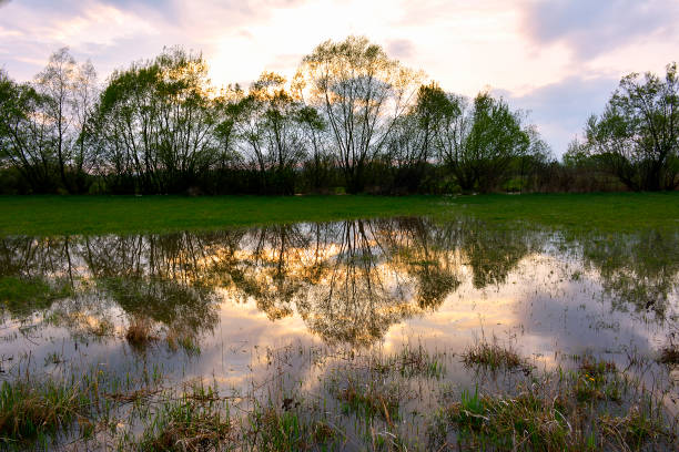 istock Silhouette and reflection of  trees at sunset 821601172