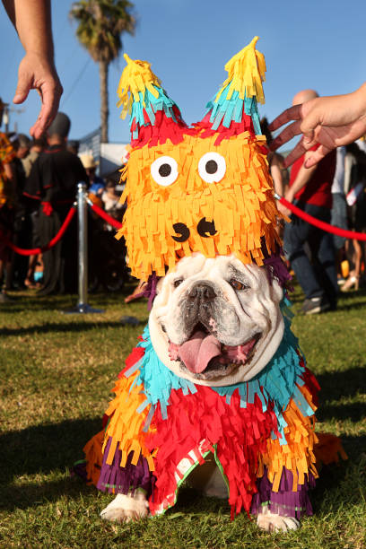 Haute Dog Howl'oween Parade