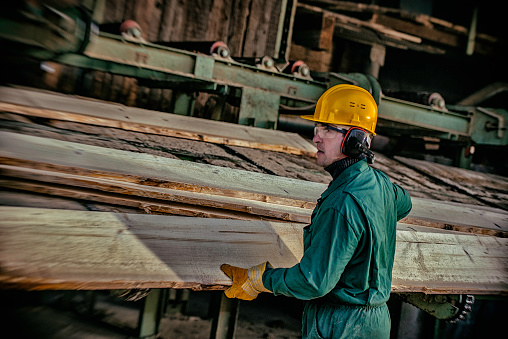 Man in a protective clothes, ear protectors and hardhat, moving planks in sawmill.