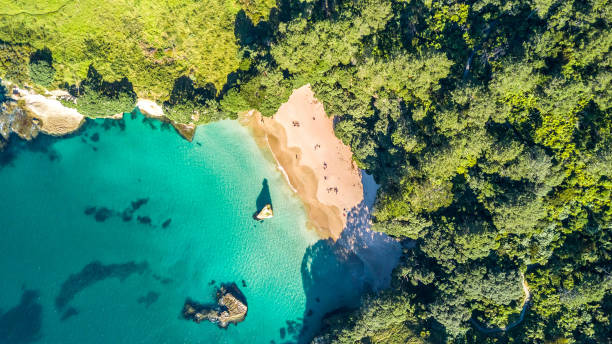 Aerial view on a small beach surrounded by rocks and forest. Coromandel, New Zealand Cathedral cove beach, Coromandel peninsula, New Zealand coromandel peninsula stock pictures, royalty-free photos & images