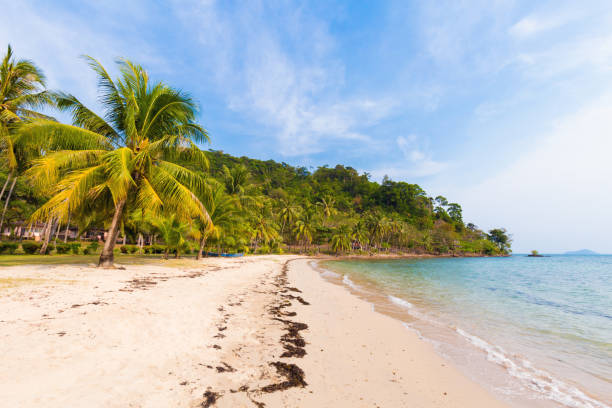 istock Tropical landscape of Koh Chang 821606234