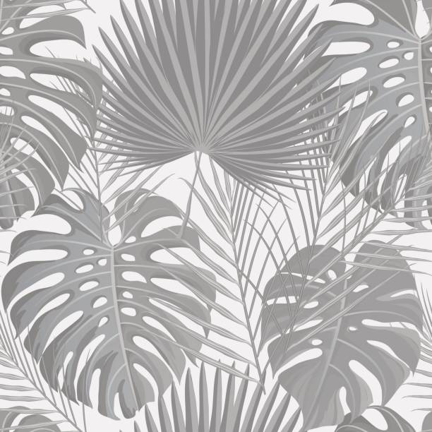 ilustrações, clipart, desenhos animados e ícones de padrão sem emenda com tons de cinza tropicais exóticas palma deixa - tropical climate white background palm tree leaf